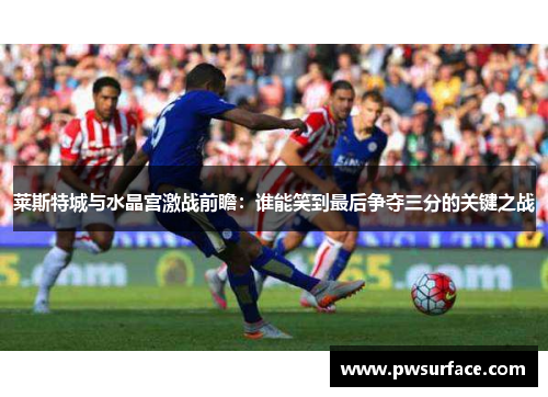莱斯特城与水晶宫激战前瞻:谁能笑到最后争夺三分的关键之战 莱斯特城与水晶宫激战前瞻:谁能笑到最后争夺三分的关键之战